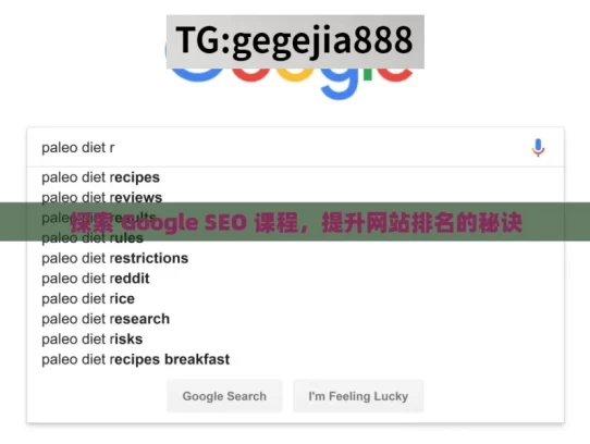 探索 Google SEO 课程，提升网站排名的秘诀，探索 Google SEO 课程奥秘