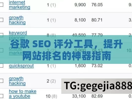 谷歌 SEO 评分工具，提升网站排名的神器指南