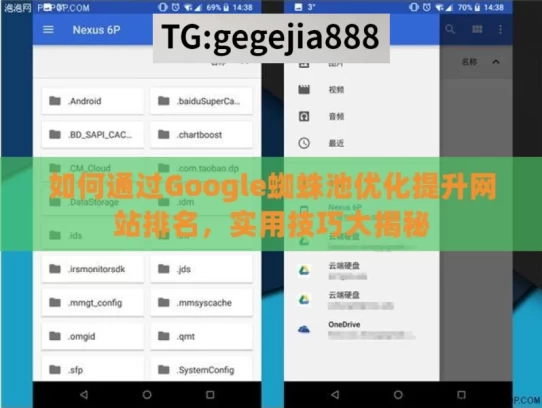 如何通过Google蜘蛛池优化提升网站排名，实用技巧大揭秘，Google蜘蛛池优化秘籍