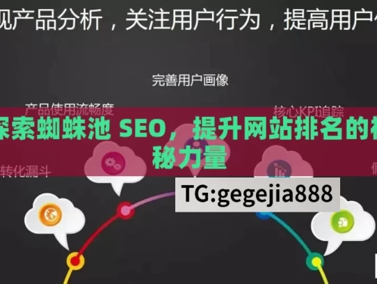 探索蜘蛛池 SEO，提升网站排名的神秘力量，探索蜘蛛池SEO的神秘力量