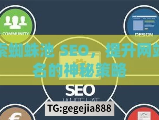 探索蜘蛛池 SEO，提升网站排名的神秘策略，探索蜘蛛池 SEO 提升排名策略