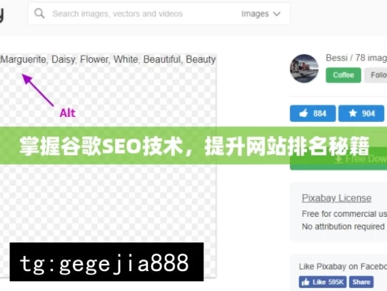 掌握谷歌SEO技术，提升网站排名秘籍，掌握谷歌 SEO 技术的提升秘籍