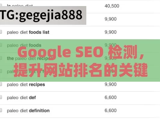 Google SEO 检测，提升网站排名的关键,掌握谷歌SEO检测，提升网站排名的关键步骤