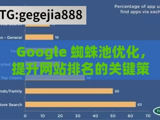 Google 蜘蛛池优化，提升网站排名的关键策略,揭秘Google蜘蛛池优化，提升网站可见性的秘密武器