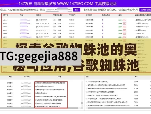 探索谷歌蜘蛛池的奥秘与应用,谷歌蜘蛛池，解锁网站索引与排名的秘密武器