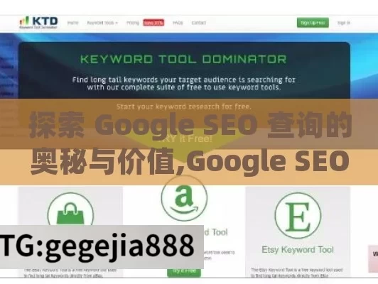 探索 Google SEO 查询的奥秘与价值,Google SEO查询，解锁网站流量增长的秘密