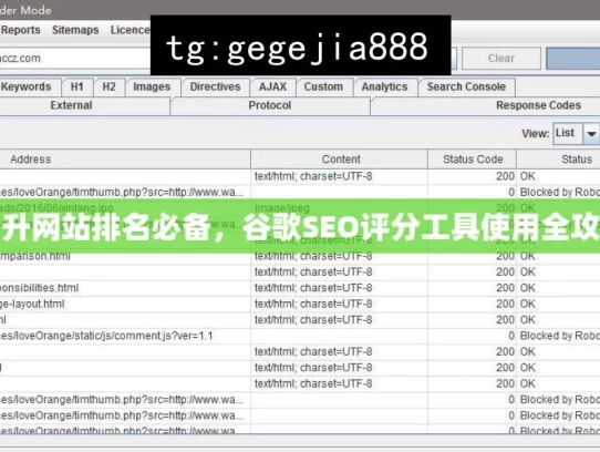 提升网站排名必备，谷歌SEO评分工具使用全攻略，提升网站排名，谷歌SEO评分工具攻略