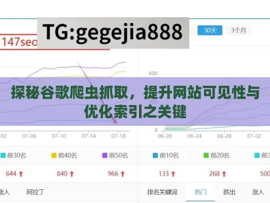 探秘谷歌爬虫抓取，提升网站可见性与优化索引之关键