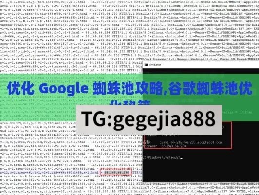 优化 Google 蜘蛛池攻略,谷歌蜘蛛池优化秘籍