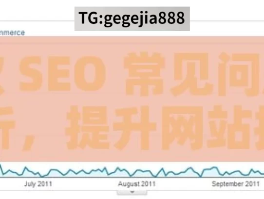 谷歌 SEO 常见问题全解析，提升网站排名，谷歌 SEO 常见问题解析