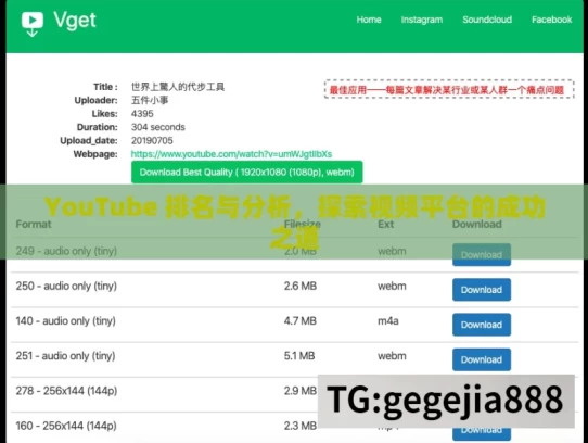 YouTube 排名与分析，探索视频平台的成功之道