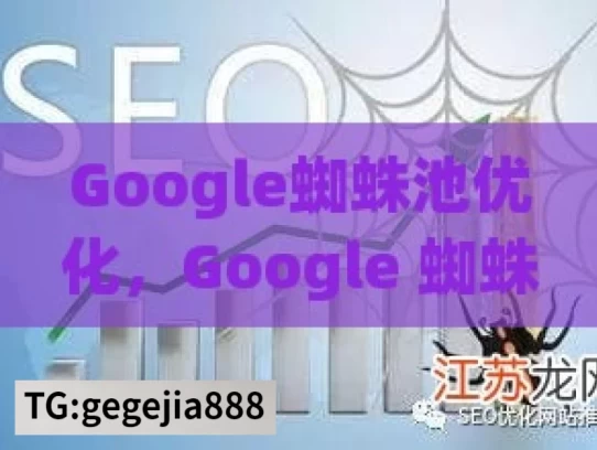 Google蜘蛛池优化，Google 蜘蛛池的优化策略探讨