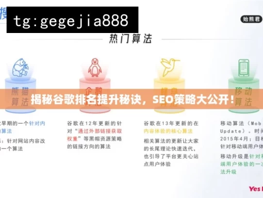 揭秘谷歌排名提升秘诀，SEO策略大公开！，揭秘谷歌排名提升之SEO策略