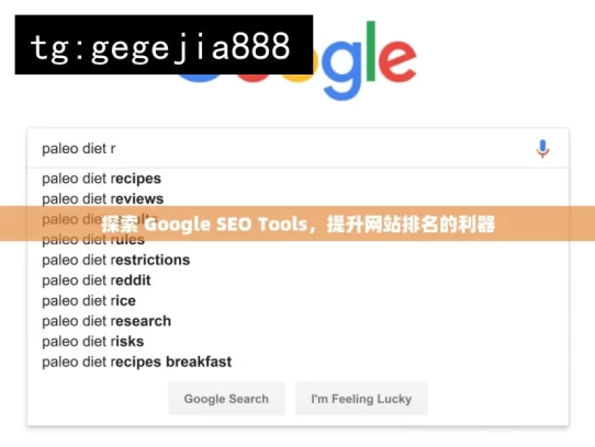 探索 Google SEO Tools，提升网站排名的利器，探索 Google SEO 工具之妙