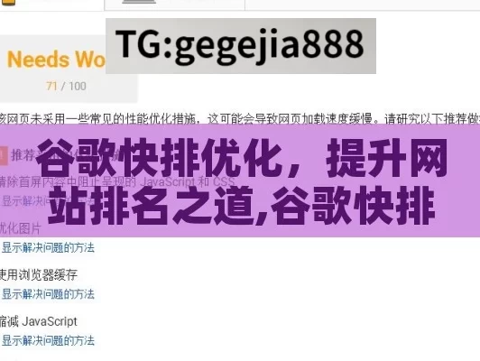 谷歌快排优化，提升网站排名之道,谷歌快排优化秘籍！提升网站排名的高效策略