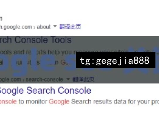 google seo 关键词，探索 Google SEO 关键词