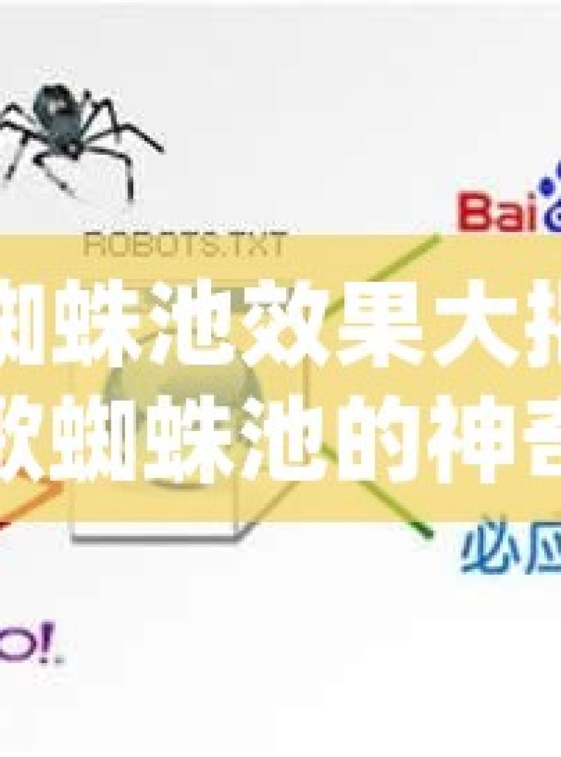 谷歌蜘蛛池效果大揭秘揭秘谷歌蜘蛛池的神奇效果，提升网站SEO排名的秘密武器 - 