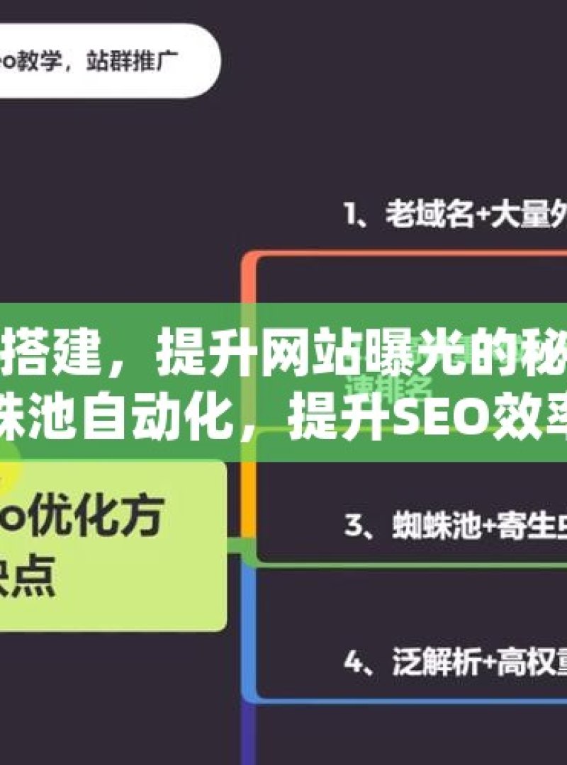 谷歌蜘蛛池搭建，提升网站曝光的秘密武器揭秘谷歌蜘蛛池自动化，提升SEO效率的秘诀 - 