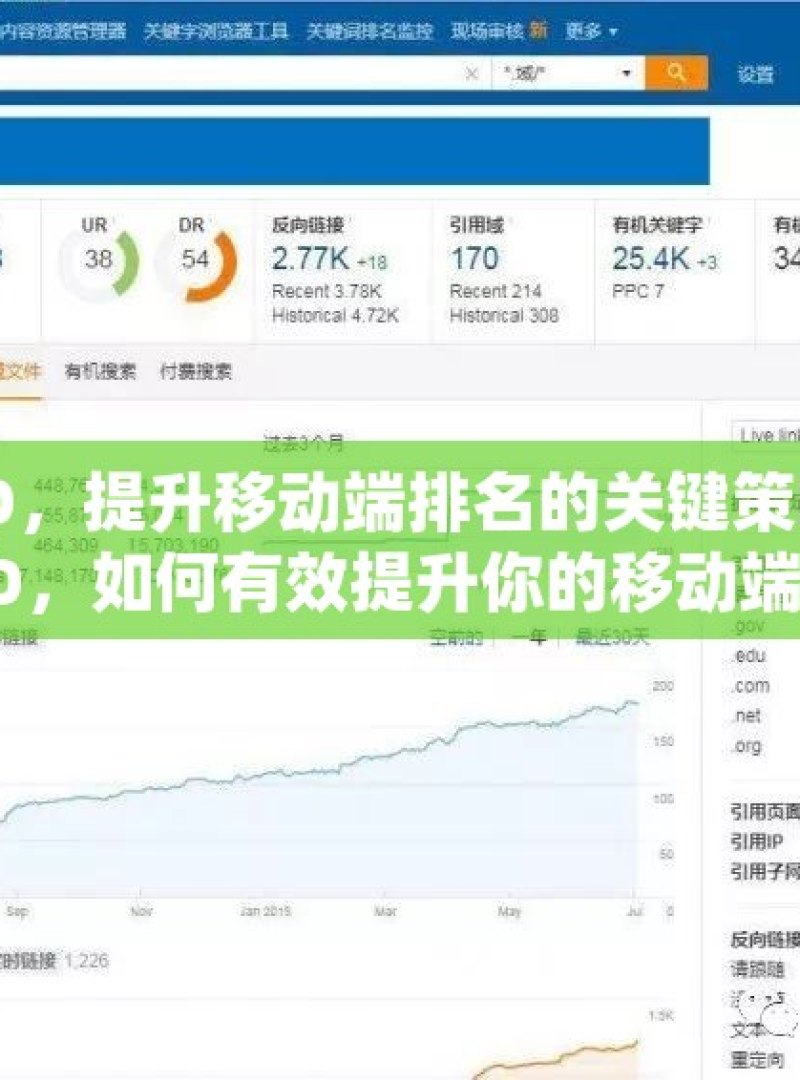 谷歌 SEO，提升移动端排名的关键策略揭秘谷歌SEO，如何有效提升你的移动端排名？