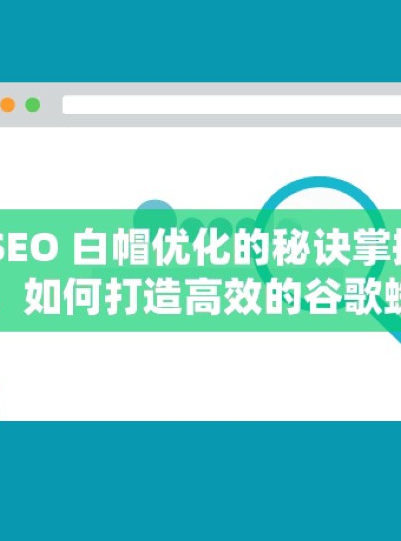 探索谷歌 SEO 白帽优化的秘诀掌握搜索引擎优化，如何打造高效的谷歌蜘蛛池