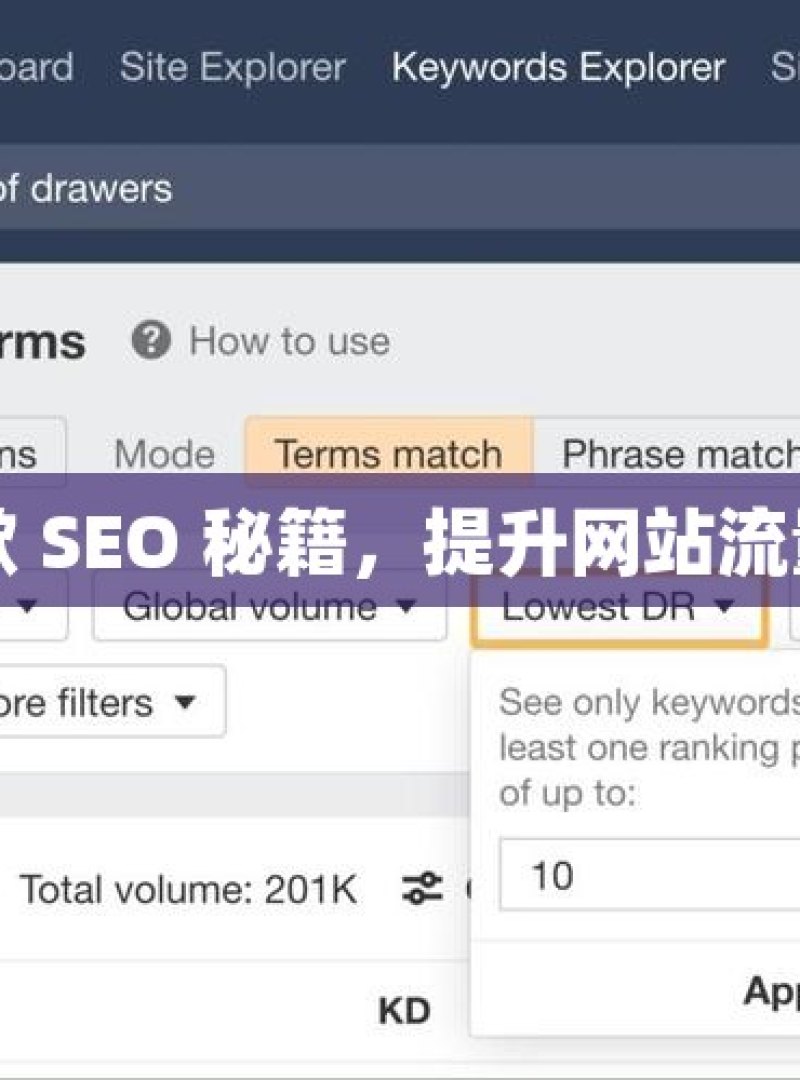 掌握谷歌 SEO 秘籍，提升网站流量与排名