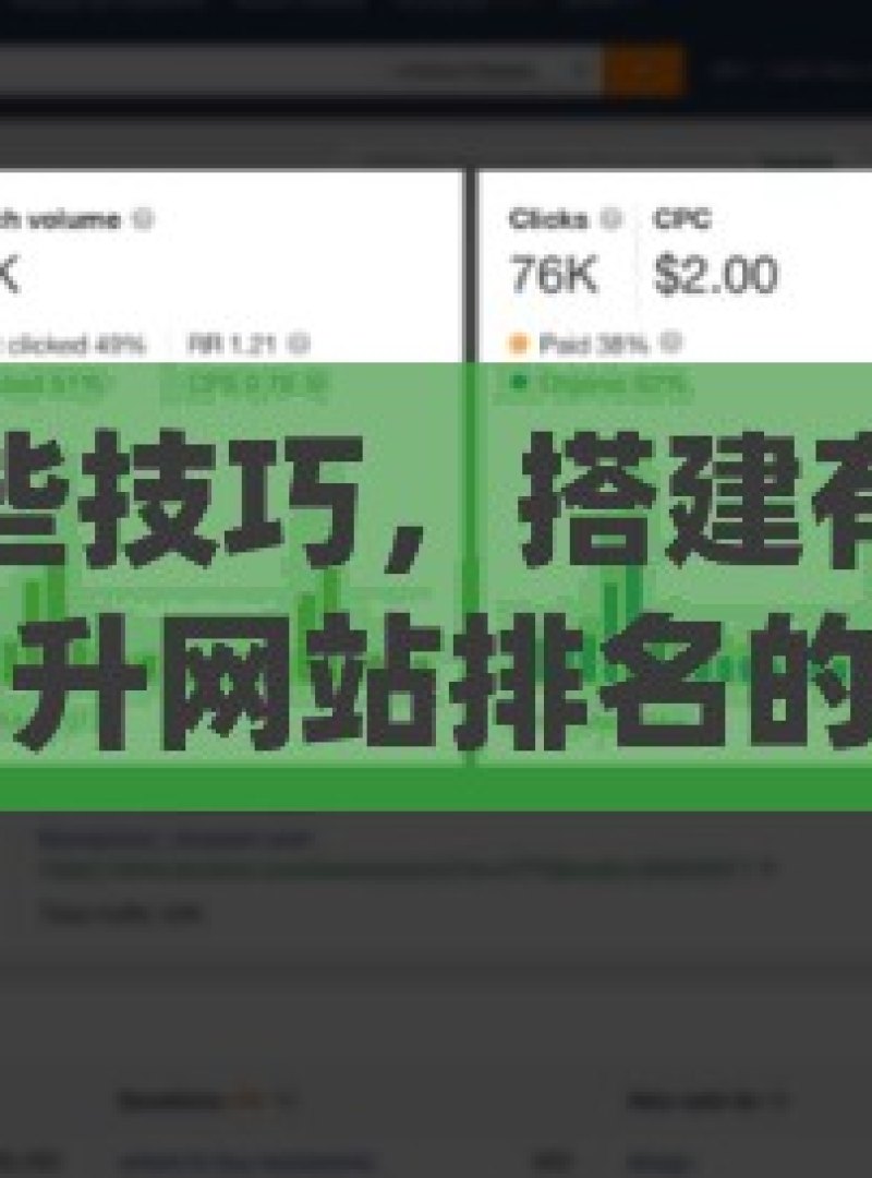 掌握这些技巧，搭建有效谷歌蜘蛛池提升网站排名的秘诀，如何构建高效的谷歌蜘蛛池