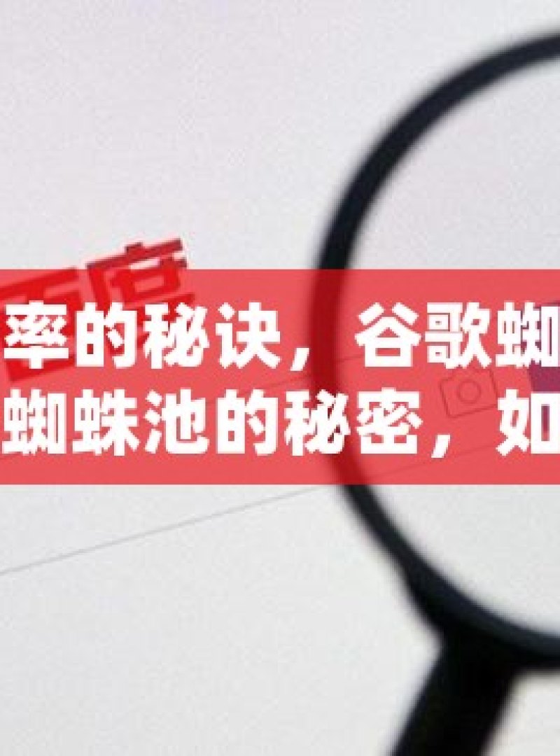 提升收录率的秘诀，谷歌蜘蛛池攻略揭秘谷歌蜘蛛池的秘密，如何有效提升网站收录率