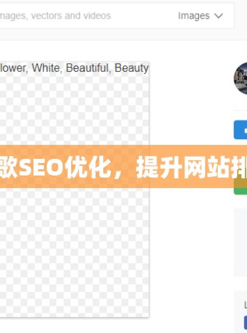掌握谷歌SEO优化，提升网站排名秘籍