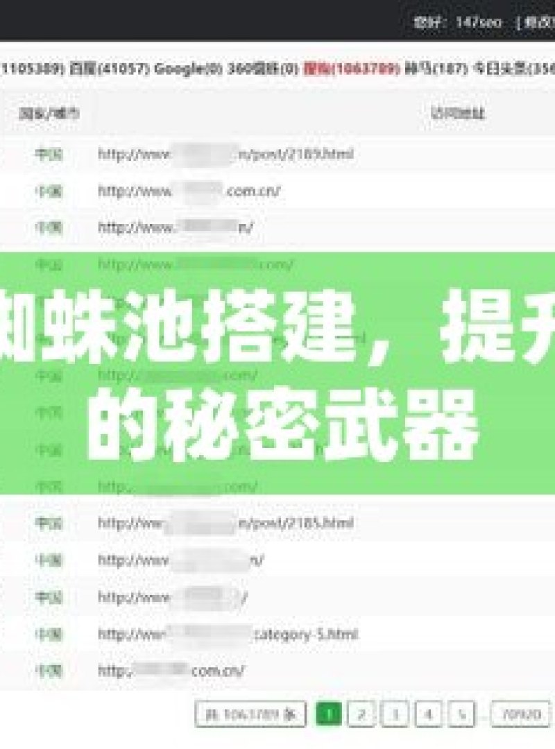 揭秘谷歌蜘蛛池搭建，提升网站收录的秘密武器