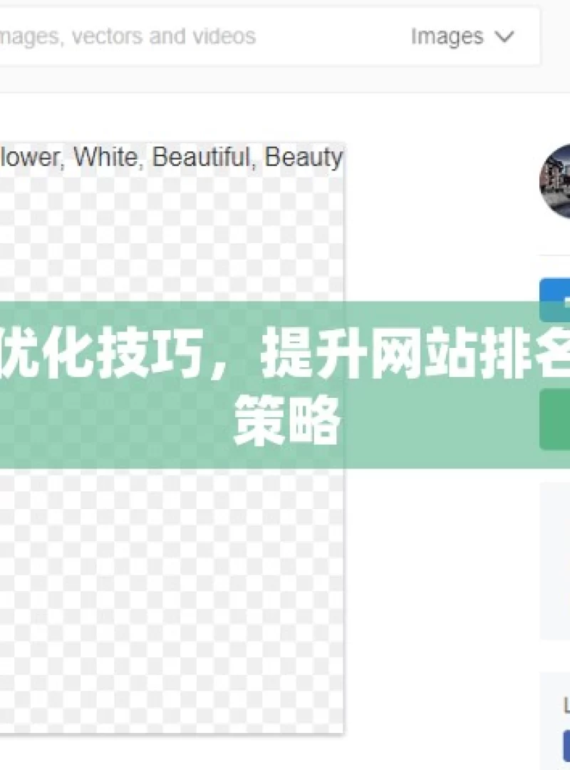 揭秘谷歌SEO优化技巧，提升网站排名与流量的实用策略