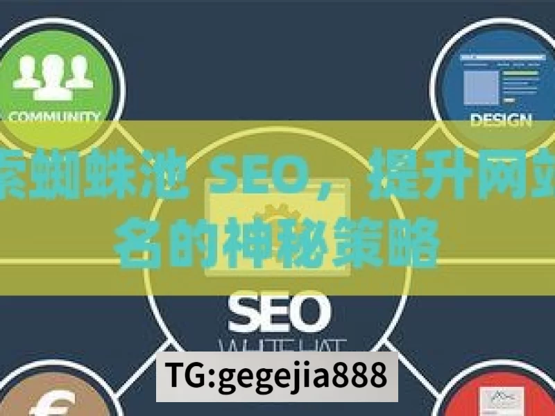 探索蜘蛛池 SEO，提升网站排名的神秘策略