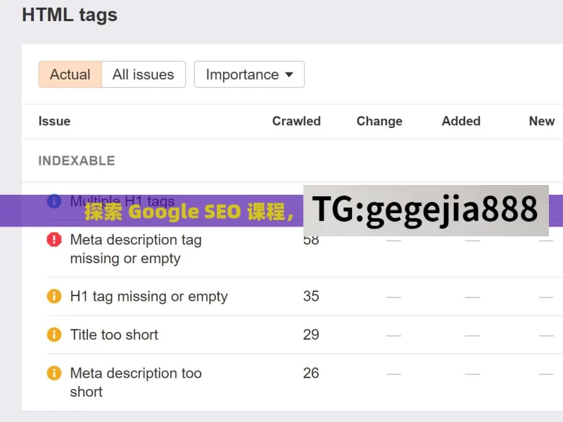 探索 Google SEO 课程，提升网站排名的秘诀