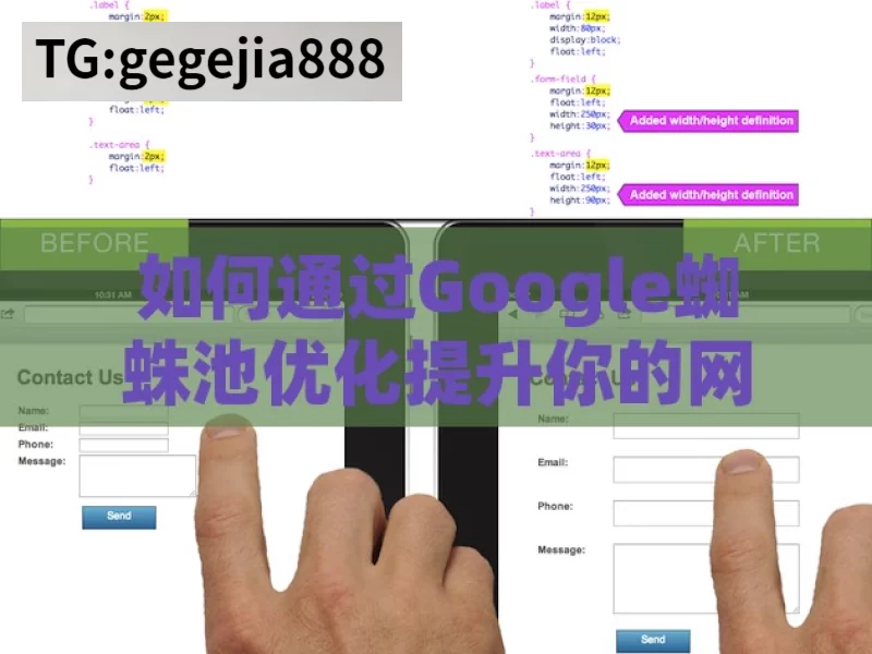 如何通过Google蜘蛛池优化提升你的网站排名？