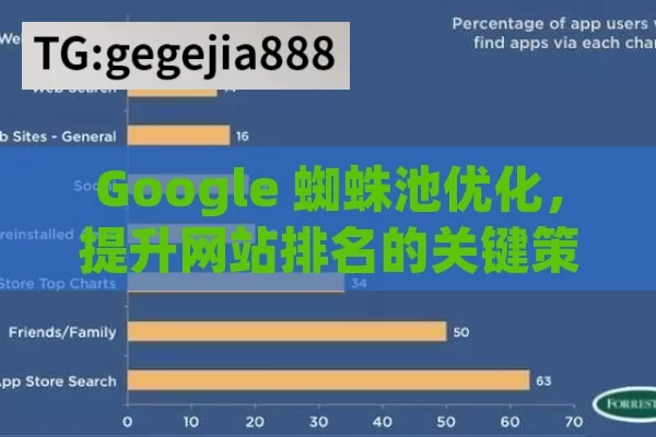 Google 蜘蛛池优化，提升网站排名的关键策略,揭秘Google蜘蛛池优化，提升网站可见性的秘密武器