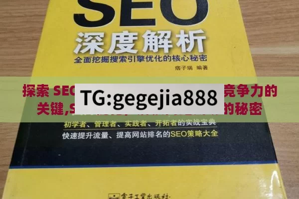 探索 SEO 优化的奥秘，提升网站竞争力的关键,SEO优化，解锁网站成功的秘密