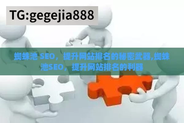 蜘蛛池 SEO，提升网站排名的秘密武器,蜘蛛池SEO，提升网站排名的利器