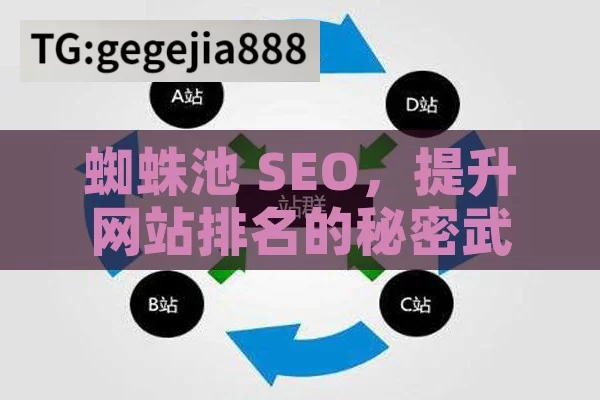 蜘蛛池 SEO，提升网站排名的秘密武器,蜘蛛池SEO，提升网站排名的利器