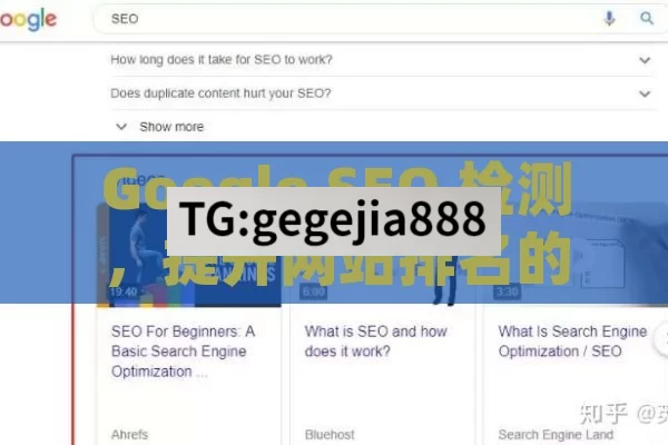 Google SEO 检测，提升网站排名的关键步骤,Google SEO检测全解析