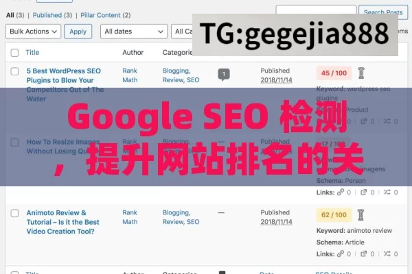 Google SEO 检测，提升网站排名的关键步骤,Google SEO检测，提升网站排名的关键步骤