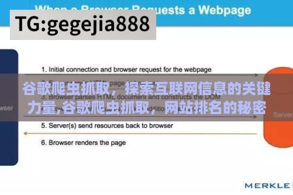 谷歌爬虫抓取，探索互联网信息的关键力量,谷歌爬虫抓取，网站排名的秘密武器