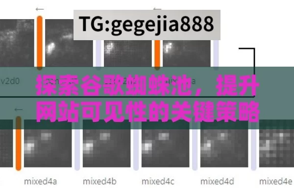 探索谷歌蜘蛛池，提升网站可见性的关键策略,揭秘谷歌蜘蛛池，提升网站抓取效率的关键策略