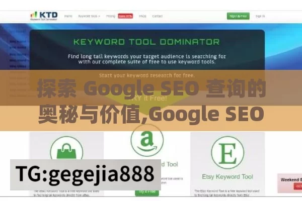 探索 Google SEO 查询的奥秘与价值,Google SEO查询，解锁网站流量增长的秘密