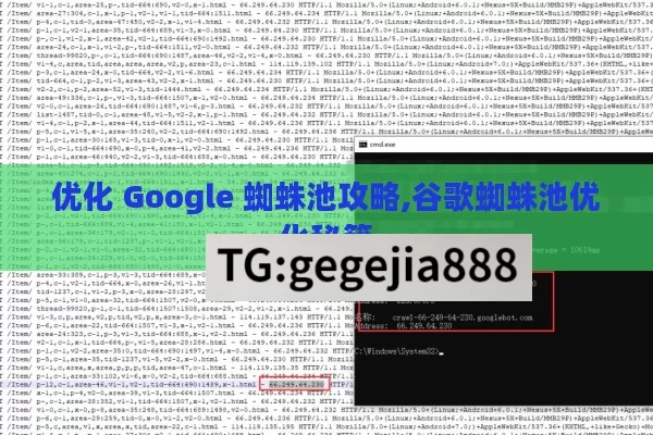 优化 Google 蜘蛛池攻略,谷歌蜘蛛池优化秘籍