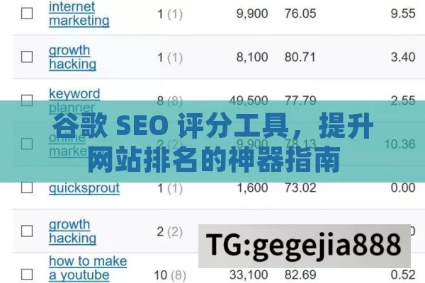 谷歌 SEO 评分工具，提升网站排名的神器指南