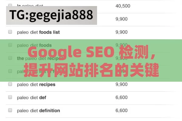 Google SEO 检测，提升网站排名的关键,掌握谷歌SEO检测，提升网站排名的关键步骤